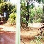 Desmatamento durante feriado no Parque dos Poderes causa indignação a moradores
