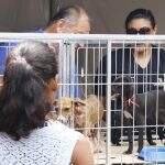 Município quer abrir crédito de R$ 697 mil para secretaria de bem-estar animal