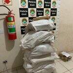Traficante tinha depósito com 118 kg de maconha na Vila Carvalho