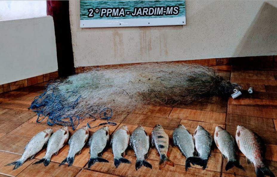 Pescadores fazem arrastão no rio Miranda e acabam presos pela Polícia Militar Ambiental