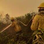 Incêndios no Pantanal já destruíram mais de 1,2 milhão de hectares este ano, aponta Ibama