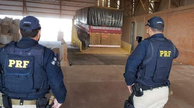 Cães policiais flagram 1 tonelada de maconha em fundo falso de caminhão