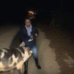 VÍDEO: Repórter é perseguido por porco em cobertura ao vivo na Grécia