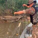 Operação Ictiofauna combate a pesca predatória em rios de MS