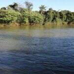 No Dia Mundial da Água, cerca de 32 tipos de agrotóxicos são encontrados no Rio Dourados
