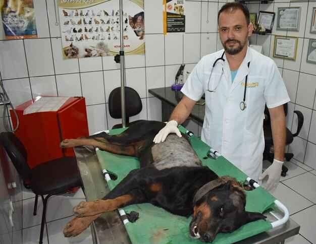 Tufão não resistiu e morreu no pet shop antes de ser atendido. (Foto: Maikon Leal