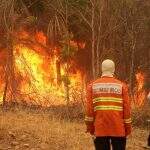 Mais 120 brigadistas do Distrito Federal e Santa Catarina reforçam combate ao incêndio no Pantanal de MS