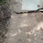 Que susto: Funcionário encontra cobra caninana de 2 metros no pátio do IFMS