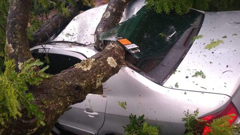 Chuva forte e vendaval derrubam árvore e destroem veículo em Dourados