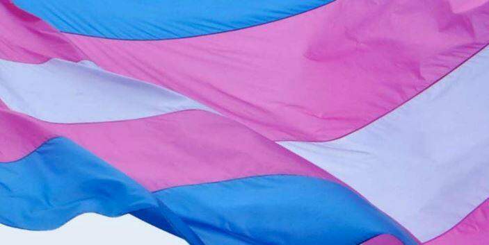 29 de Janeiro: Por que é o celebrado o Dia Nacional da Visibilidade Trans?