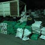 Operação conjunta apreende 3 toneladas de maconha em caminhão carregado com milho