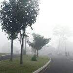 Umidade causa ‘nevoeiro de radiação’ na manhã desta segunda-feira em Campo Grande