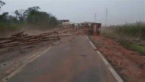 Carga de eucalipto espalhou-se pela rodovia | Foto: Reprodução | Youtube