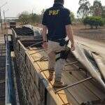 PRF apreende quase 40 m³ de madeira ilegal em MS