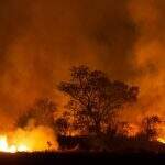 Moradores descrevem incêndio como ‘assustador’ e pedem quartel em Bodoquena