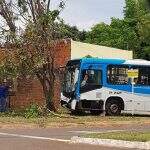Passageiro flagra acidente com ônibus que acertou árvore no Monte Castelo