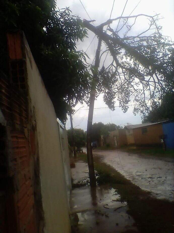 Galhos de uma mangueira cairam sobre fiação de energia e deixaram moradores da Rua professor Antônio Teófilo Cunha sem luz | Foto: WhatsApp | Do Leitor