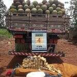 Caminhão de fruta? PM apreende 80 kg de maconha em caminhão carregado com jaca