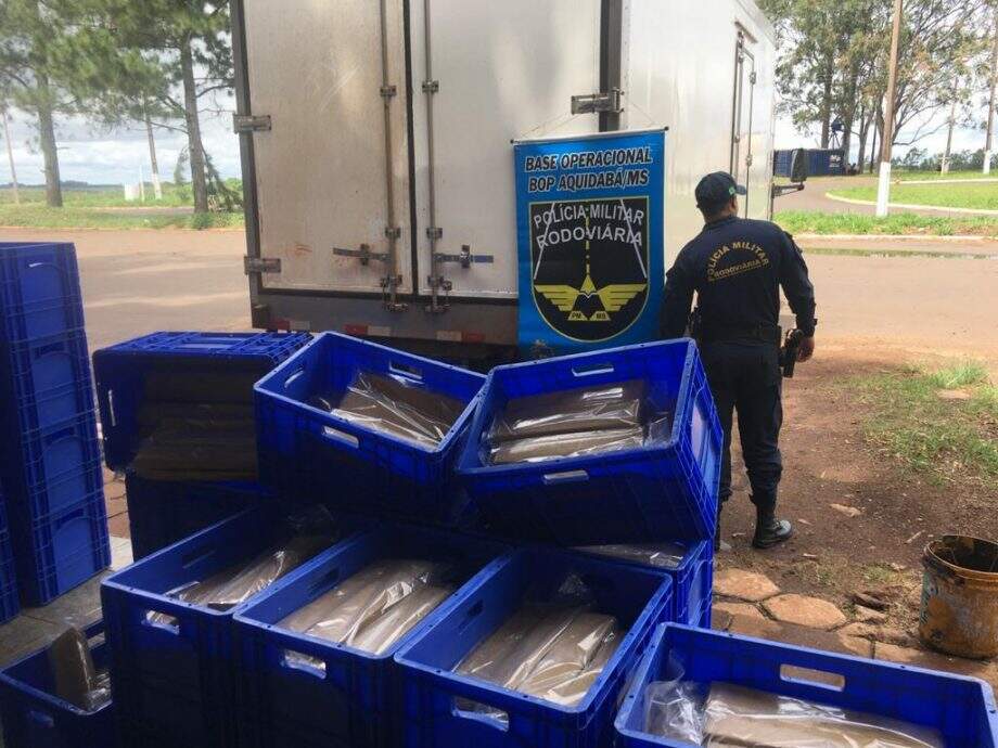 Polícia encontra mais de 2 toneladas de maconha em carga de peixe na MS-164
