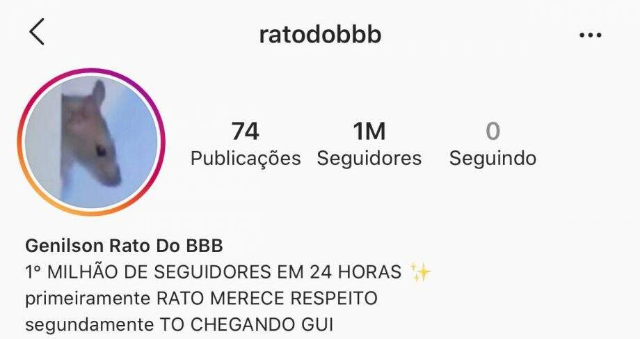 Rato do BBB bate 1 milhão de seguidores em 24h