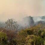 Após chuva forte em Corumbá, focos de incêndio foram eliminados na região do Pantanal