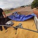 DOF apreende mais de 20 toneladas de maconha em carga de milho na MS 295