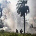 Bombeiros controlam incêndio que ameaçava Favela do Mandela