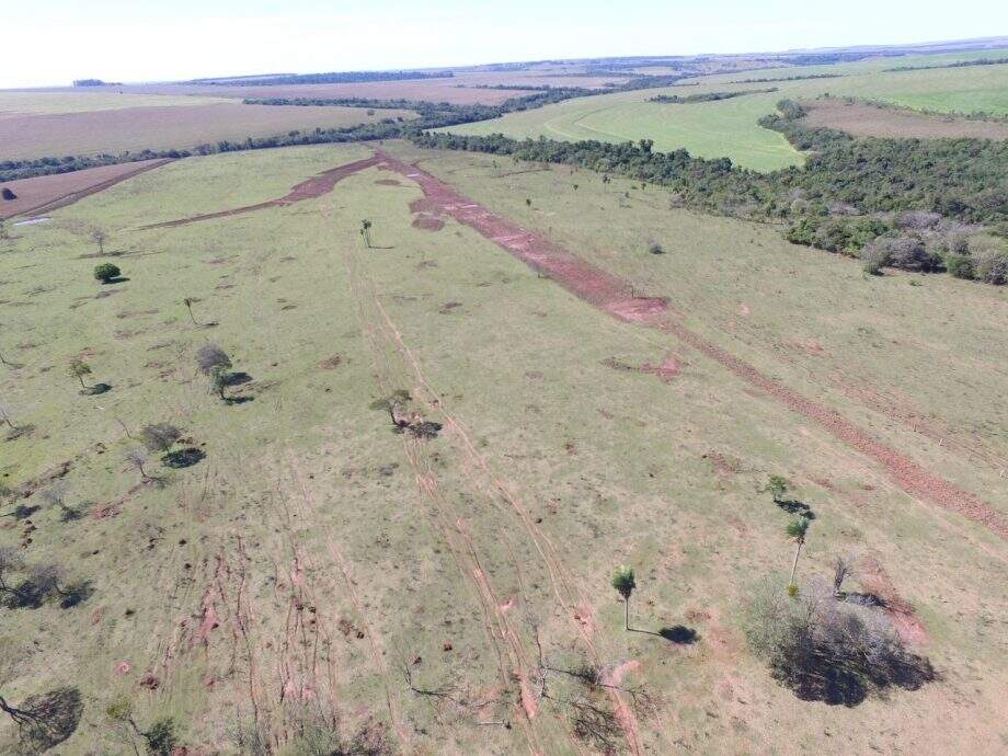 Proprietária rural é autuada por desmatamento ilegal de Mata Atlântica em MS