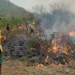 Voluntários e ONGs lutam para ajudar a apagar incêndio no Pantanal