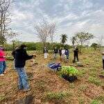 No dia da árvore, ação ambiental independente dá início a plantação de 1000 mudas em Bonito