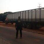 Caminhões com 120 bois ilegais do Paraguai são apreendidos em MS