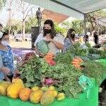 Estímulo ao consumo saudável, feira de orgânicos é retomada em Campo Grande