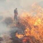 Bombeiros combatem incêndios na região do Morro do Azeite no Pantanal