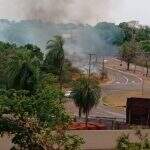 Incêndio em mata às margens de rotatória assusta moradores no Rita Vieira