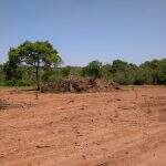 Proprietário rural é multado em R$ 7,2 mil por desmatamento ilegal de vegetação