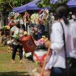 Devido à pandemia, campo-grandenses ‘antecipam’ o Dia de Finados para manter tradição de visitas a cemitérios