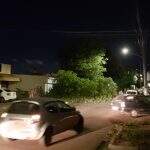 Bairro de Campo Grande fica sem energia após caminhão derrubar fios de energia e árvore