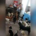 Com foto de cães pedindo comida, cuidadora é surpreendida ao receber 300 kg de ração em Campo Grande
