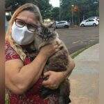 Moradora que teve gato levado para CCZ consegue recuperar animal após reportagem