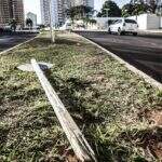 Motociclista perde controle, bate em placa de sinalização e morre em Campo Grande