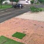 Vídeo: SUV sobe em calçada, derruba árvore e quase atropela pedestres