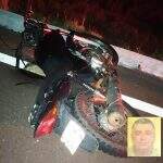 Motociclista morre após atropelar e matar tamanduá e filhote em estrada de MS