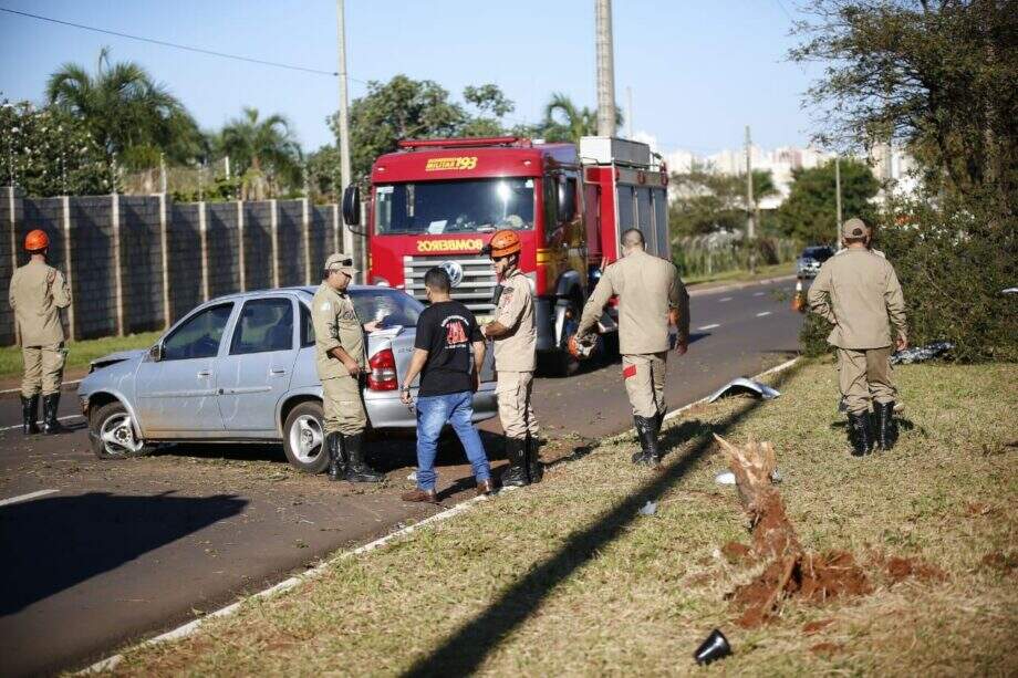 Motorista perde controle, sobe em canteiro e arranca árvore em avenida