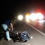 Motociclista morre ao bater de frente com cavalo em rodovia