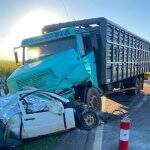 Dois morrem na BR-163 em colisão frontal entre caminhão boiadeiro e picape