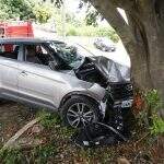 Bêbado, motorista perde controle e bate carro contra árvore em avenida de Campo Grande