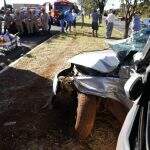 Reviravolta: motorista diz que dormia quando dupla furtou carro e bateu em árvore