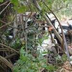 Motorista de 48 anos morre após caminhão cair em ribanceira, em Rio Verde