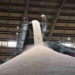 Com maior demanda de açúcar, usinas de MS produziram 45 milhões de toneladas de cana