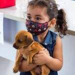 Feira de adoção devolve alegria para 75 animais que ganharam um lar em Campo Grande